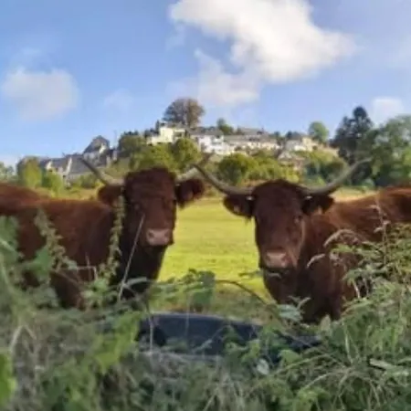 אתר קמפינג Mobil-home, Animaux Acceptes - 2 Pers. - Api-1-52-2277 La Tour-dʼAuvergne
